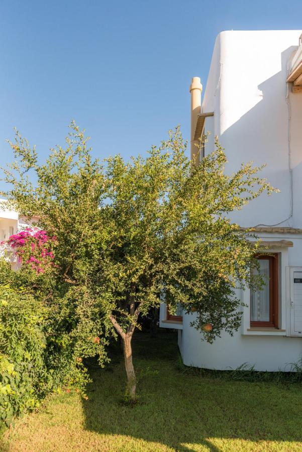 Villa Muse Pitsidia Esterno foto